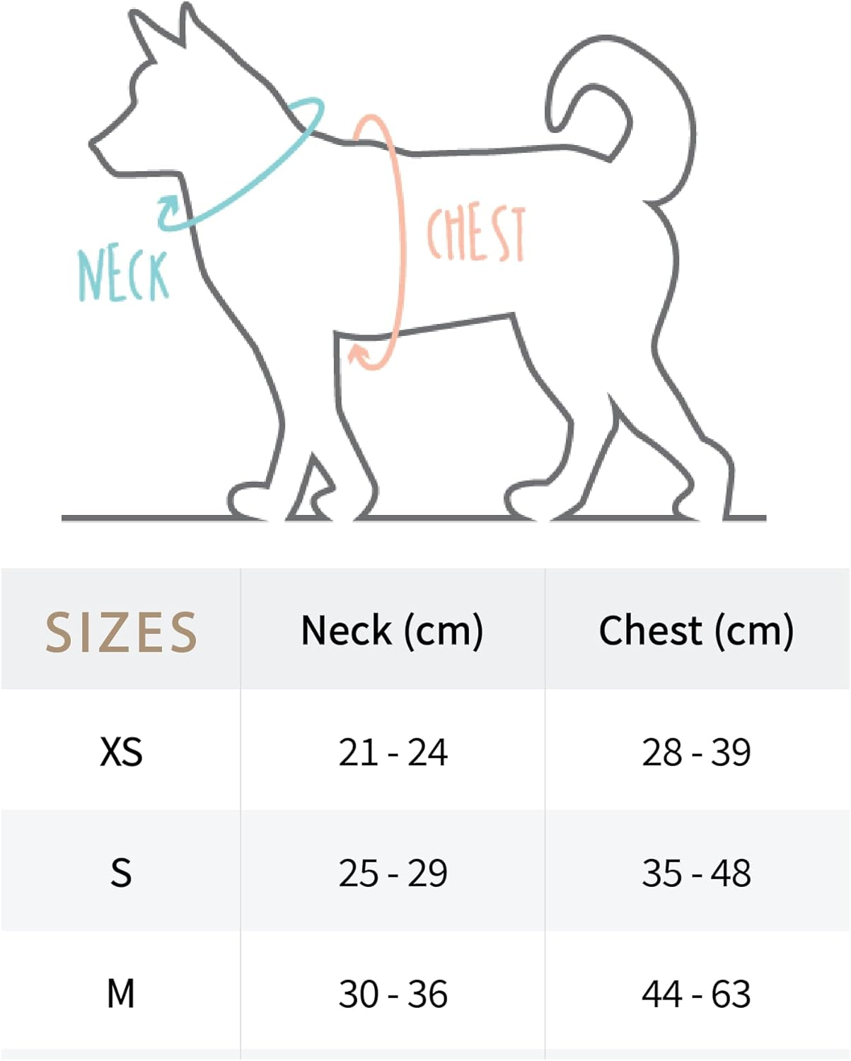 4-Piece Walkies Bundle [Pipco Pets] - Adjustable Dog Harness + Collar + Lead + Poo Bag Dispenser | Cute Colourful Patterns | Perfect Fit, Escape Proof Vest | Safe and Secure | (M, Gettin' Ziggy)