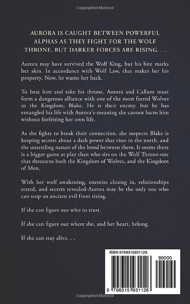 The Night Prince: a Fantasy Romance