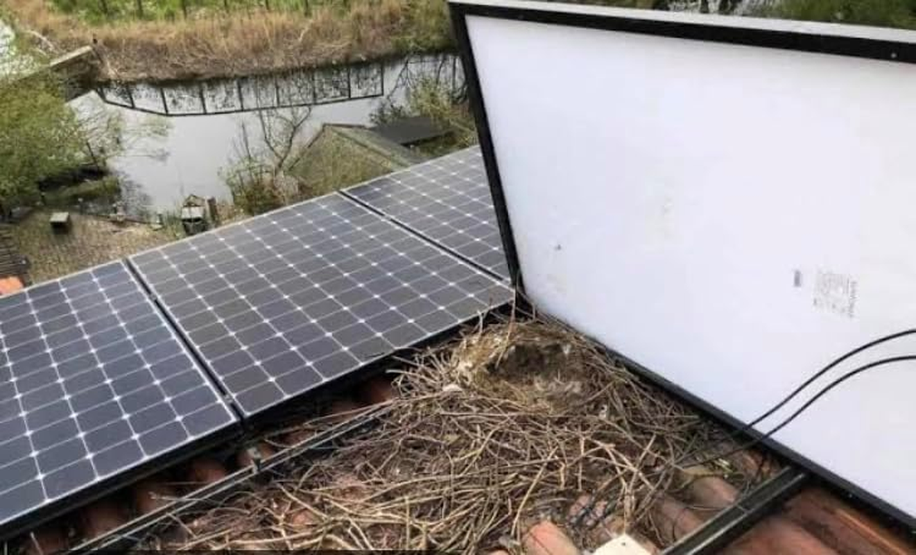 30 Meters Solar Panel Bird Proofing Kit PVC Coated Stainless Steel Mesh & Aluminium Fasteners image number 2