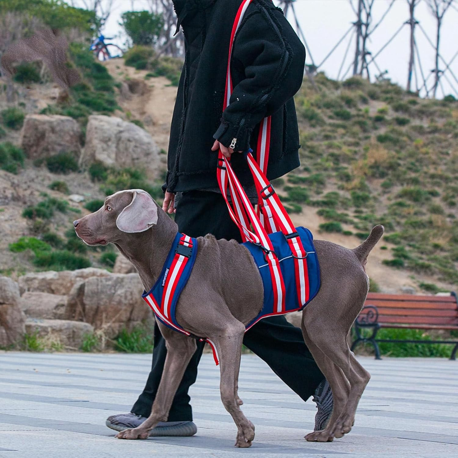 IUOUTG Dog Lift Harness for Large Dogs Adjustable Soft Dog Support Harness Blue Girl Boy Dog Carry Sling Lifts Vest for Old, Disabled, Paralysis Dogs Walk