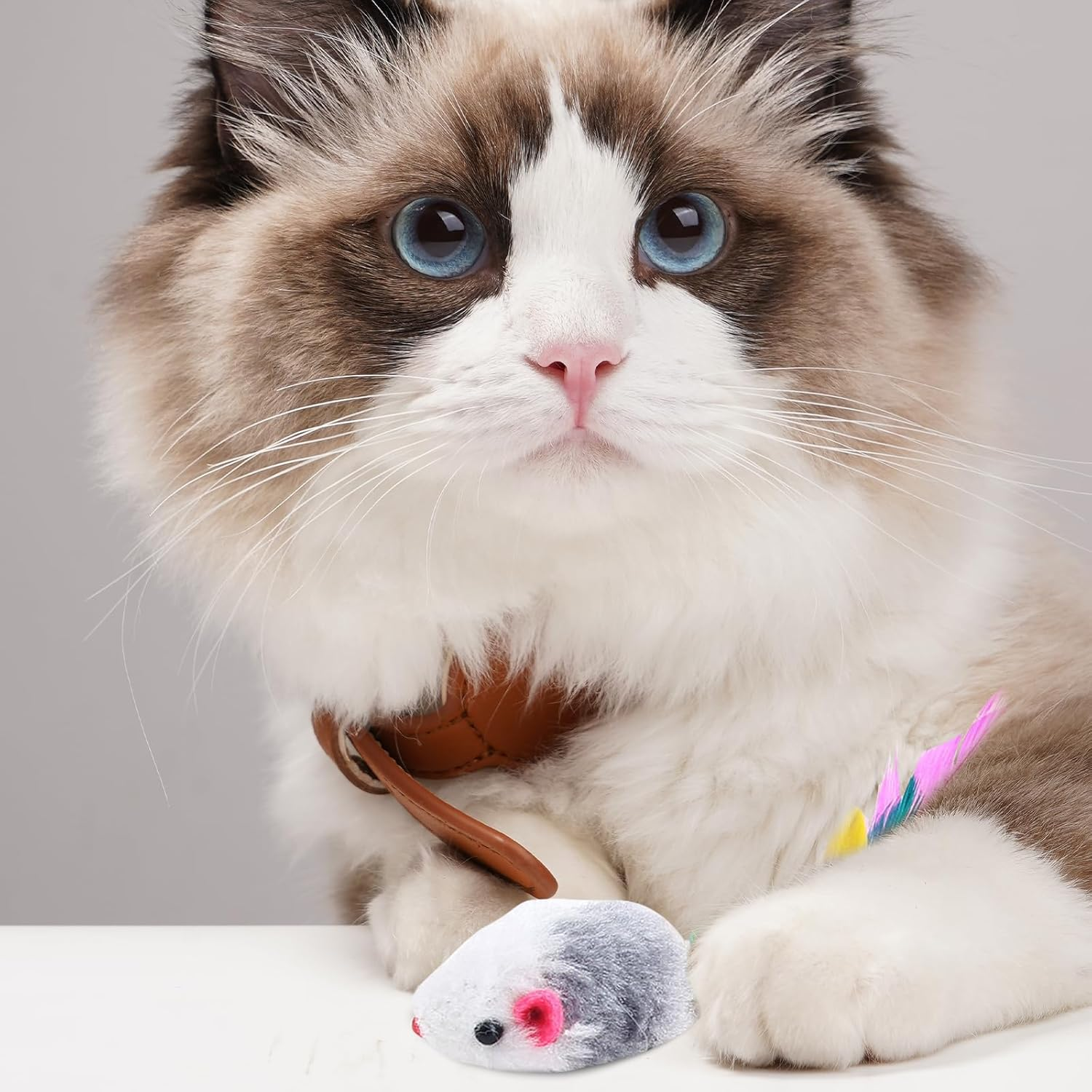 Pack of 20 Cat Toys, Mouse Toy for Cats, Mouse Cat Toy, Pet Toy with Feather Tail, Funny Games for Cats image number 1