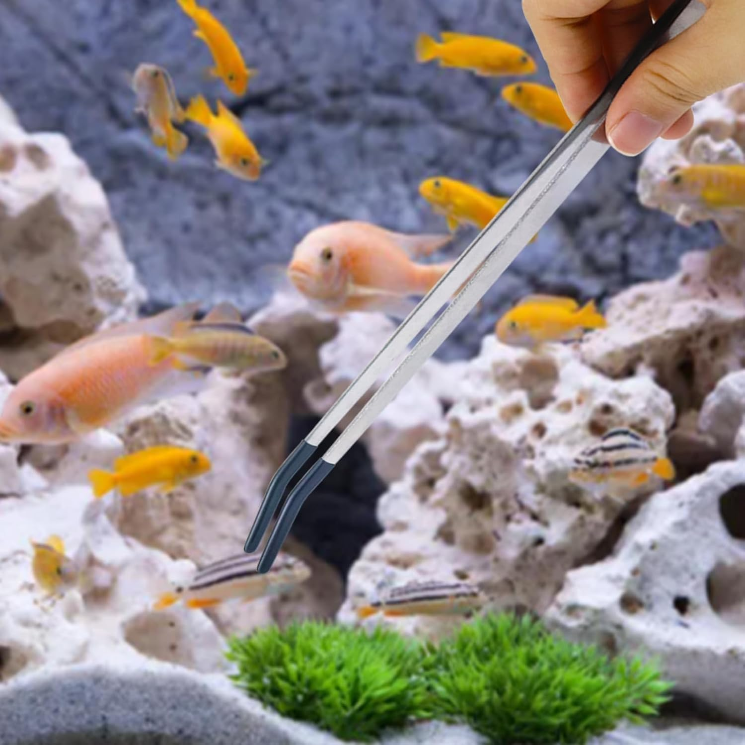 Stainless Steel Reptile Feeding Long Tongs Tweezers with Rubber Tip,3Pcs Stainless Steel Straight and Curved Tweezer Aquarium Tweezers with Rubber Tip,Reptile Feeding Tongs Straight and Curved Tweezer