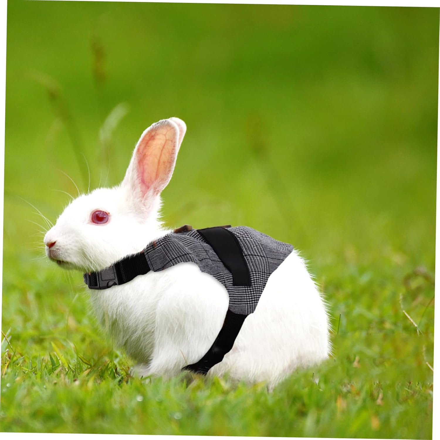 Rabbit Stripe Harness and Leash Set Adjustable Bunny Vest Small Suit Style Pet Harness Anti-Escape Design Suitable for Small Animals and Indoor Outdoor Use image number 4