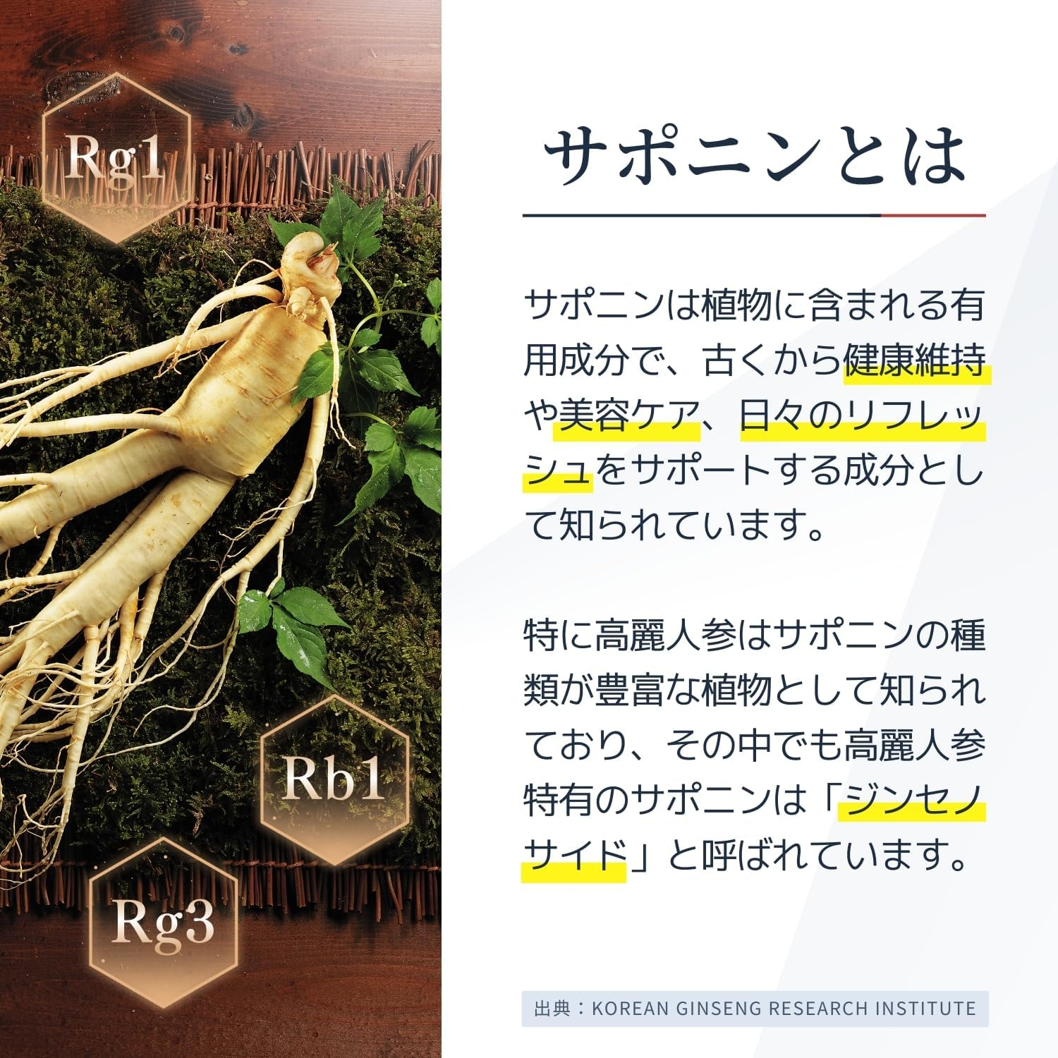 Cheongkwanjang Korean Ginseng Liquid Extract Health Supplement, 30G - Red Ginseng Supplement Relieves Stress, Supports Immune Function and Cognition, Boosts Stamina and Circulation image number 1