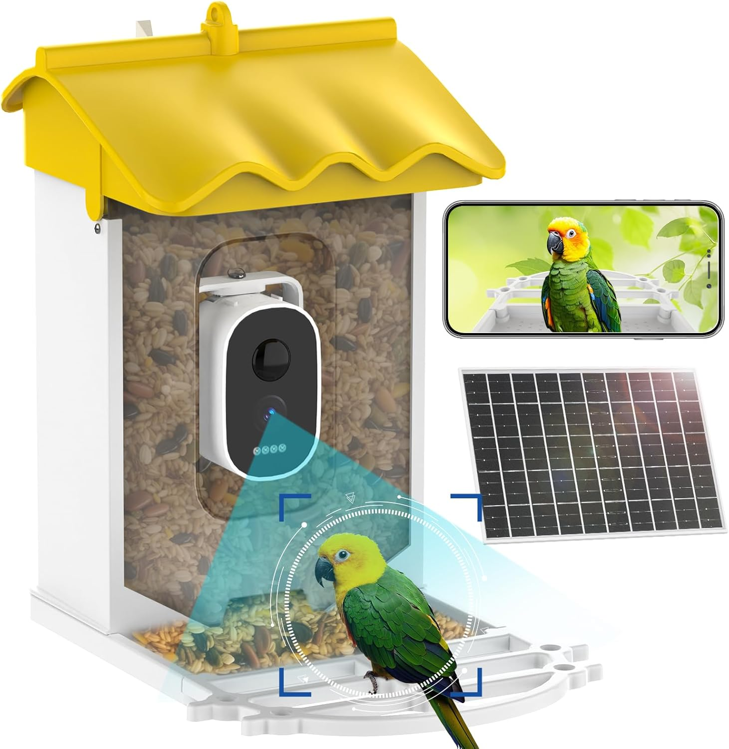 Advwin Smart Bird Feeder with Camera, AI Identify Species Bird Feeders for Outdoors, Solar Powered, 2K Live Video Auto Capture, Instant Notifications