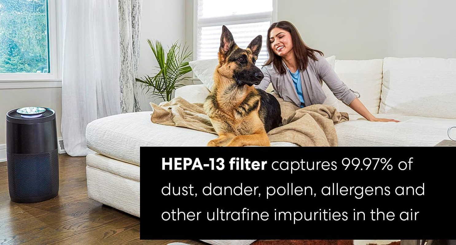 Instant Pot Air Purifier HEPA-13 Replacement Filter for Instant Pot Air Purifier AP100, F100, Small, Blue image number 5