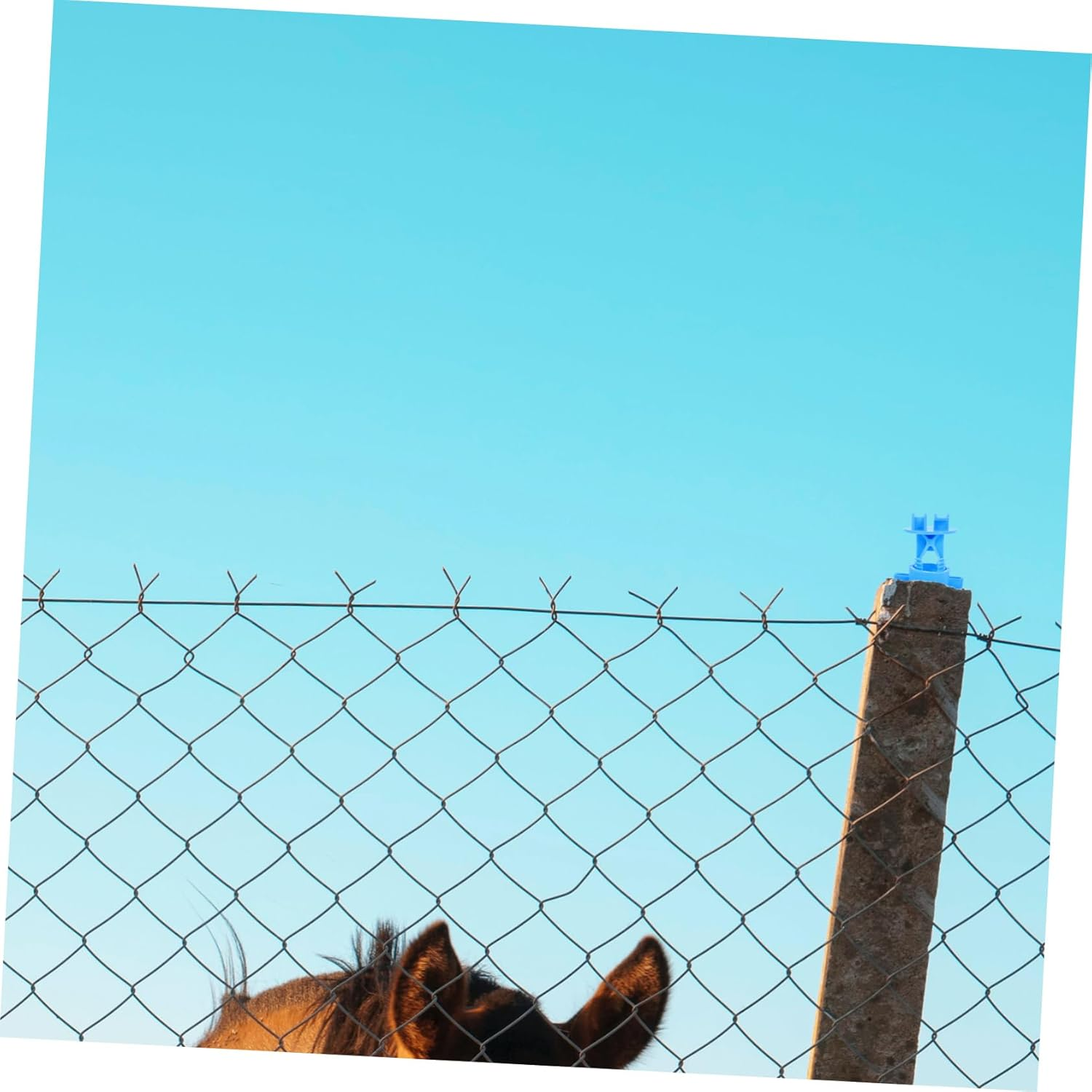 BESPORTBLE 250Pcs Replacement Fence Insulators Electric Fence Wire Insulators Material Insulating