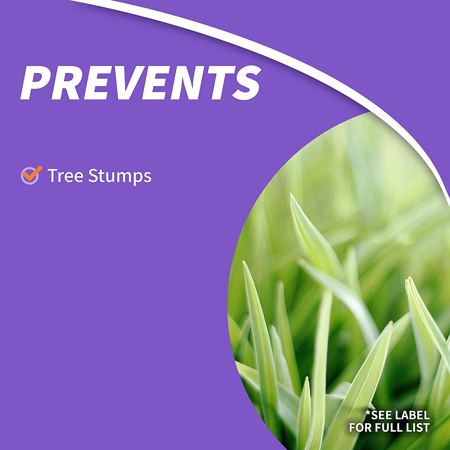 Bonide Stump-Out Granules, Do-It-Yourself at Home Stump Removal Pellets, 1 Lb. Fast-Acting Formula for Outdoor Use image number 1