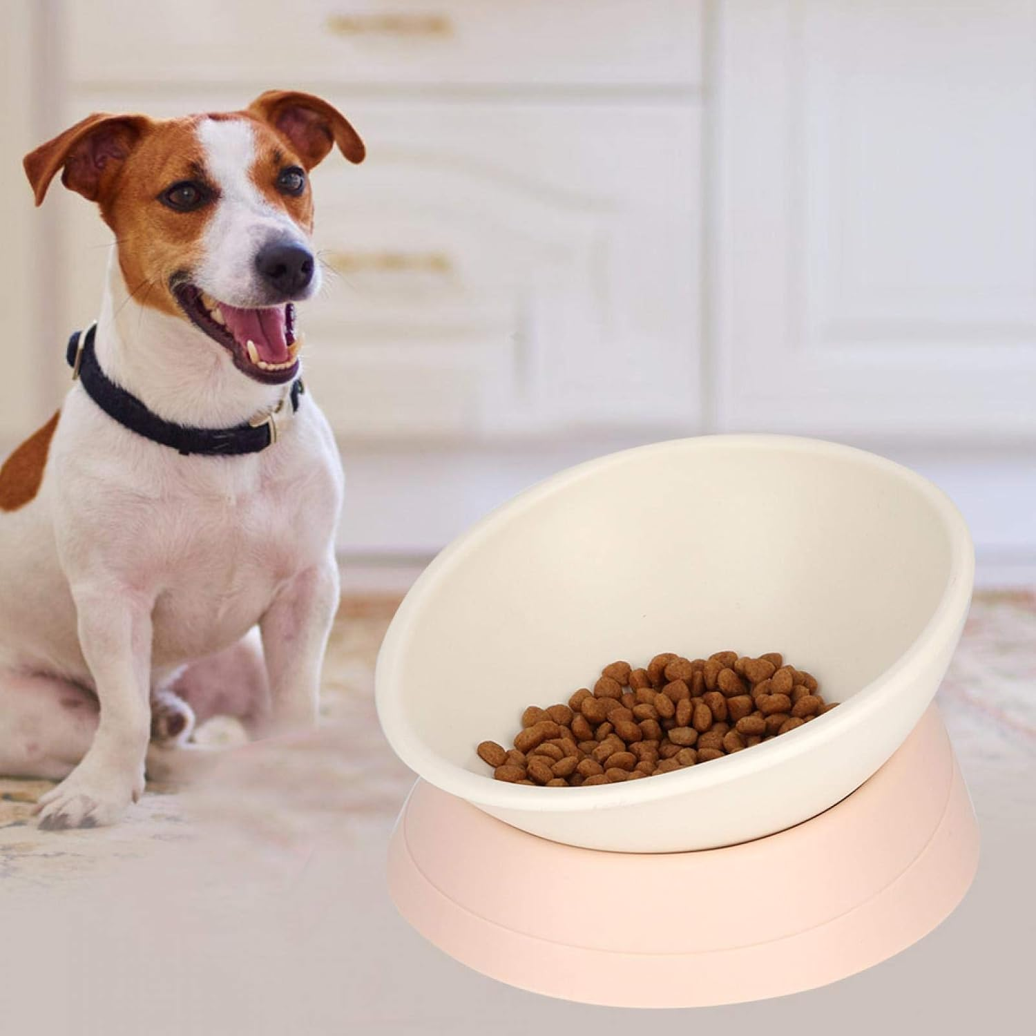 EVTSCAN Pets Dog Cat Bowl, Raised Cat Food Water Bowl, Detachable Elevated Stand Pet Feeder Bowl, No-Spill, 0-30&deg;Adjustable Tilted Pet Bowl(白色) image number 5