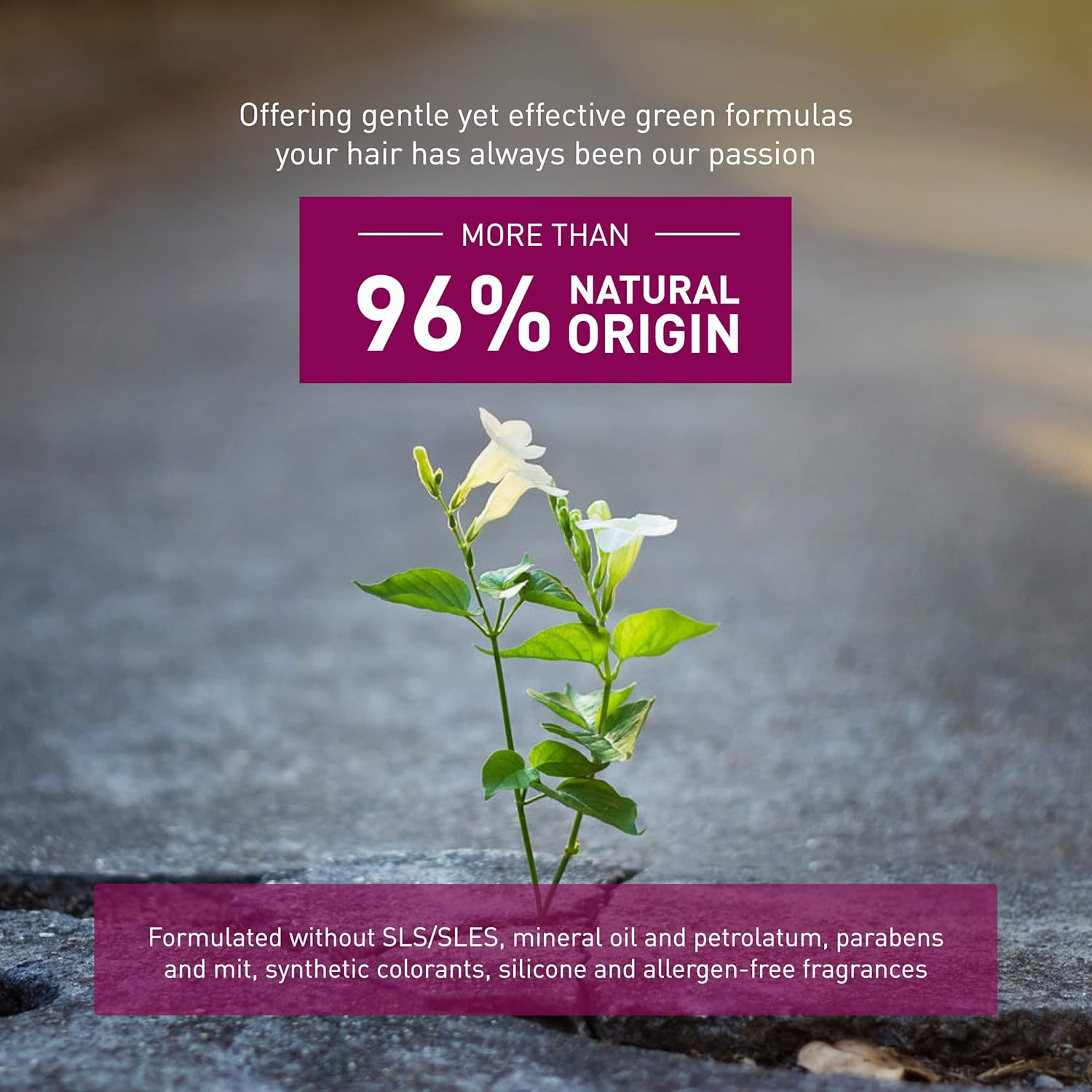 INSIGHT VOLUMIZING Shampoo 400Ml image number 5