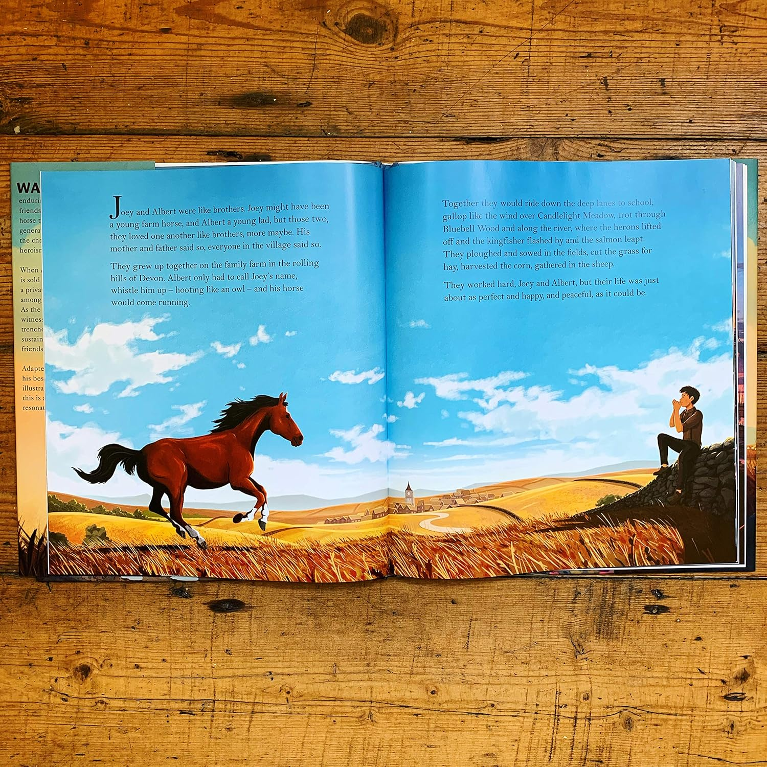 War Horse Picture Book