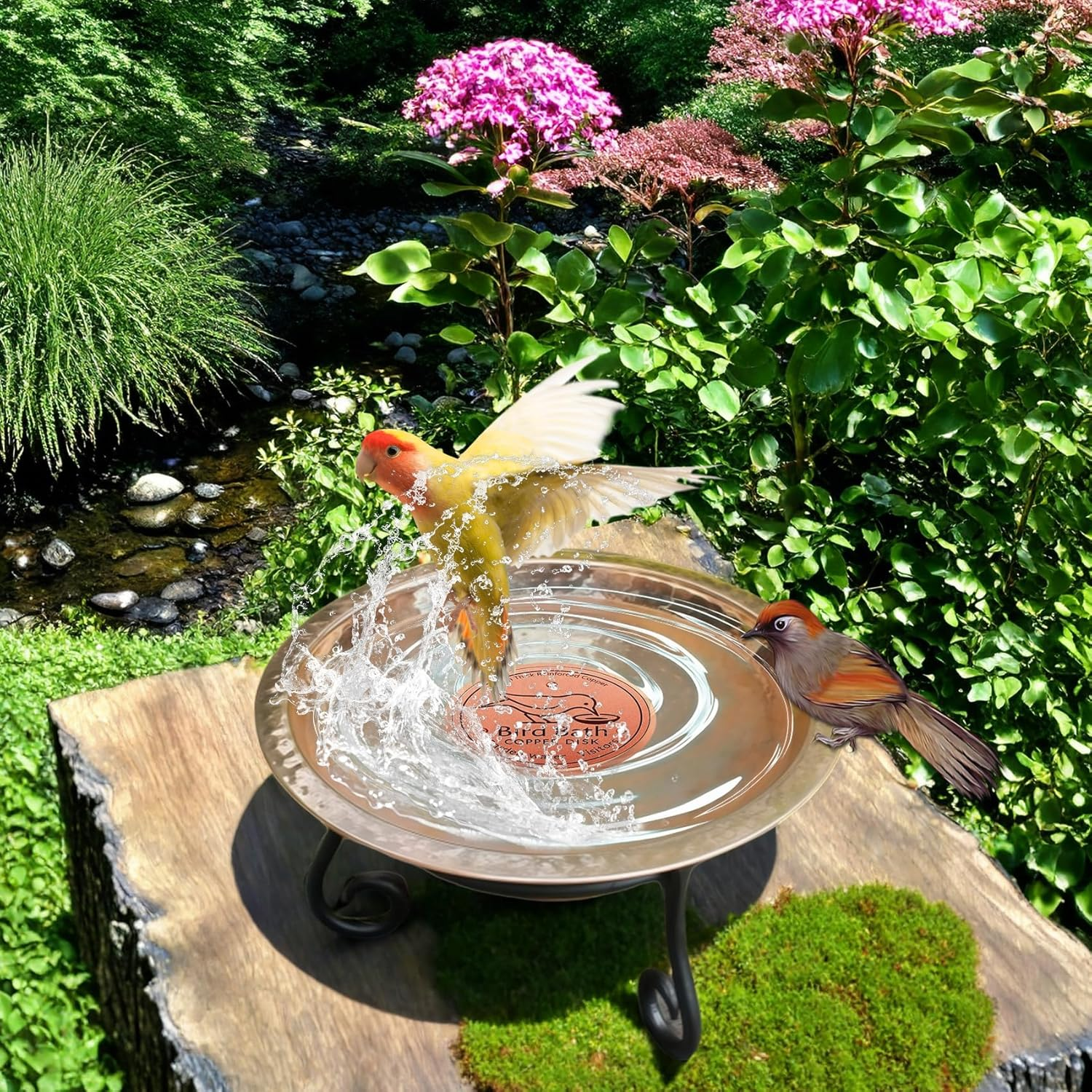 YANXIN1E 2PACKS 2025 Latest Copper Disk for Bird Bath: Copper Disc for Bird Bath Purification Plate Discs for Chicken Water Cleaning Keeps the Birdbath Clean Small Pure round Fountain Disco (2-Packs) image number 2