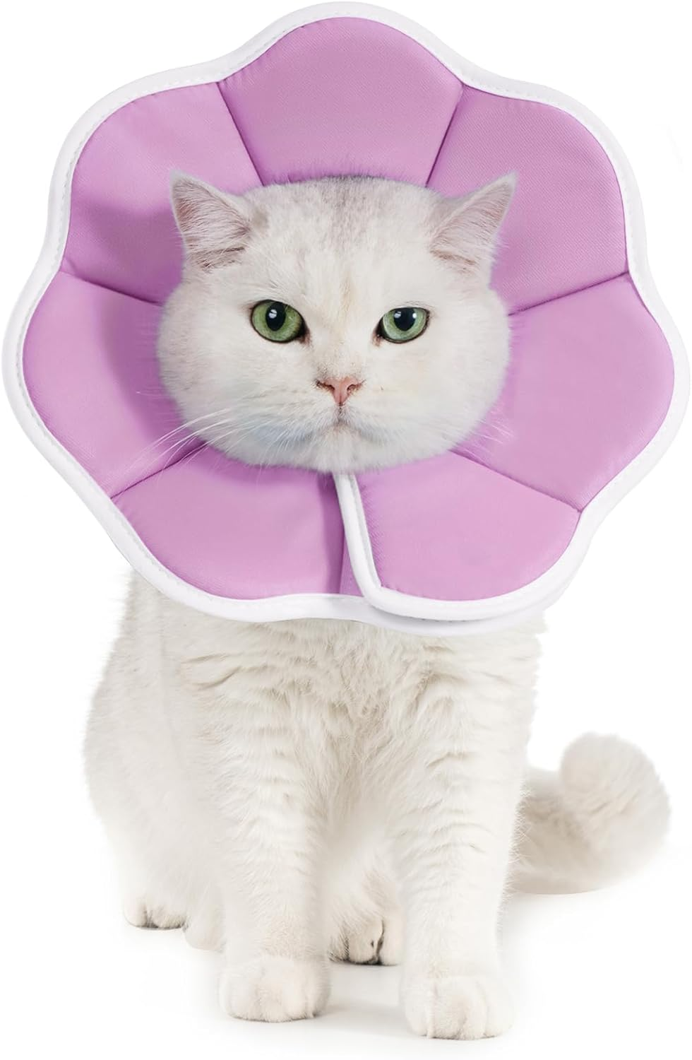 Avont Soft Cat Recovery Cone Collar, Adjustable Cat Elizabethan Collar for Cats and Small Dogs, Comfortable Cone to Stop Licking after Surgery, Lightweight Twill Fabric E-Collar -Skate(M) image number 1