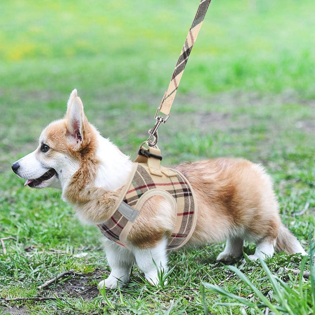 KOOLTAIL Dog Harness and Leash Set for Medium Large Dogs, Step in No Pull Soft Mesh Dog Harness Comfort Padded Pet Vest, Adjustable Reflective Easy Walking Puppy Cats Harnesses Training image number 5