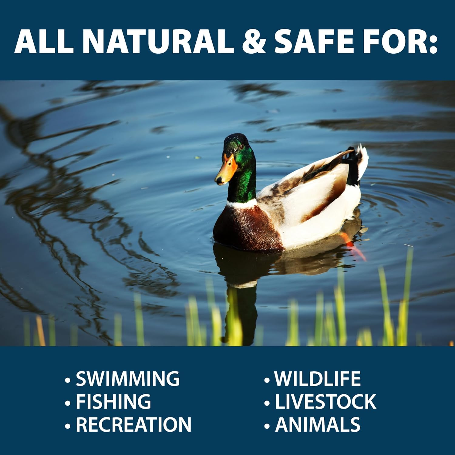 Pond Logic Pondclear 12 Pkts