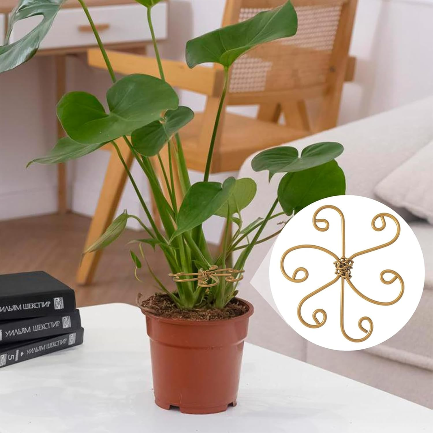 5-Pack Iron Plant Stem Supports for Monstera & Climbing Plants, Durable Hooked Design with Bamboo Clips, Indoor/Outdoor Leaf Stabilizers for Healthy Growth image number 1