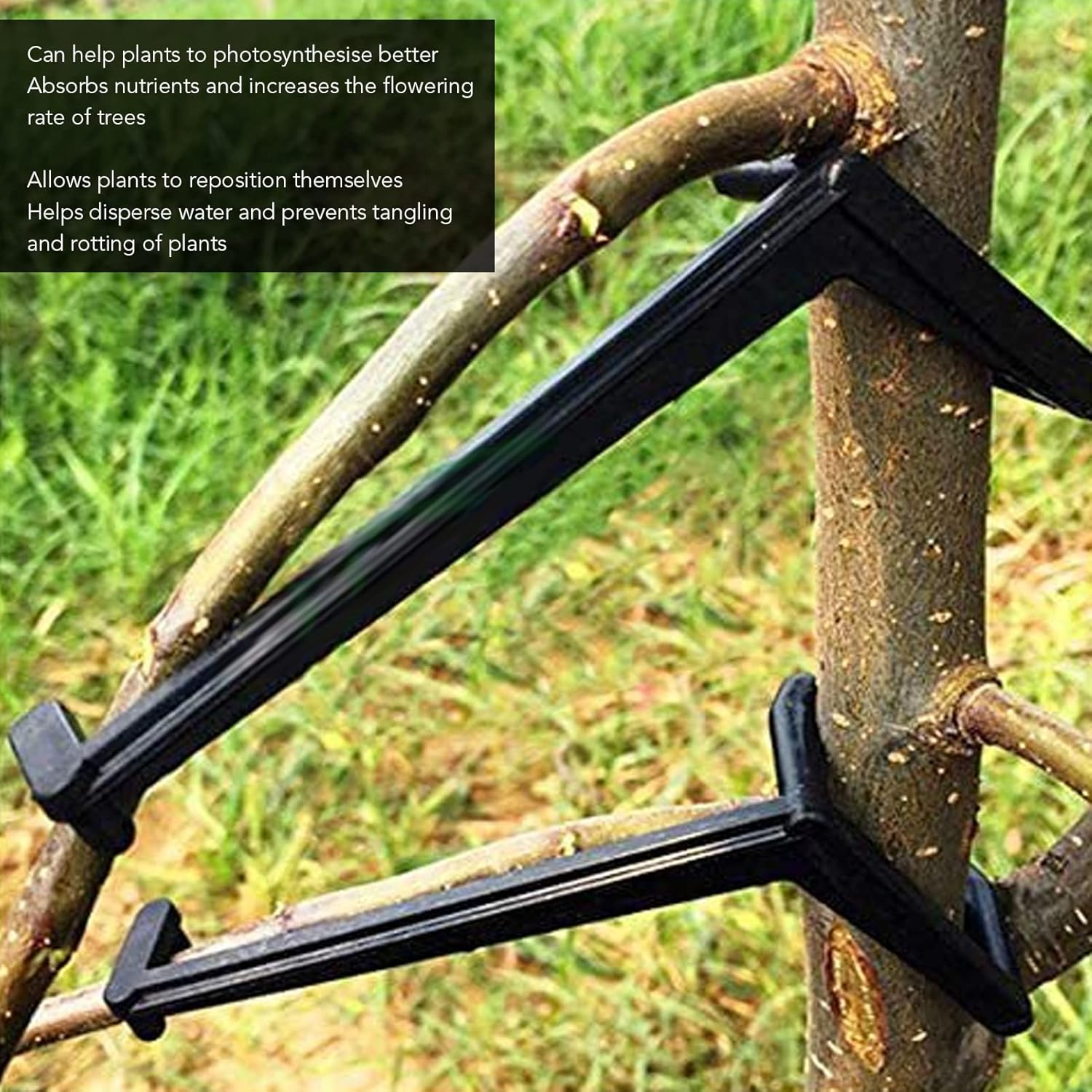 Eulbevoli 20Pcs Fruit Branch Spreader, Pressureresistant High Hardness Plastic Tree Branch Limbspreader, Appletress Branches Support, Branch Bend for Gardening Black image number 4