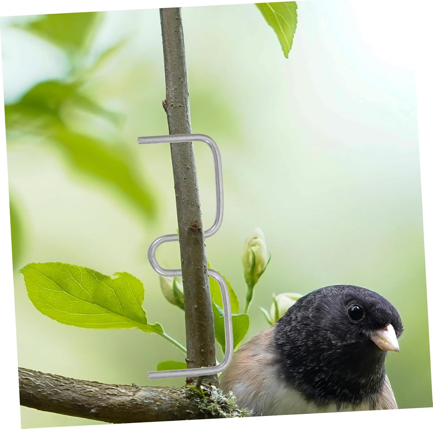 JOINPAYA Plant Branch Spreader and Bending Clamps for Fruit Trees Gardening 8Cm M-Shaped Branch Fixing Tools 50 Pieces for Tree Shaping and Support image number 1