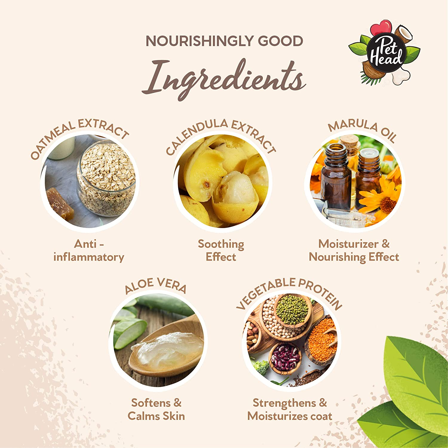 Pet Head Dog Shampoo, Sensitive Soul Shampoo for Dogs with Sensitive Skin, Hypoallergenic Coconut image number 2