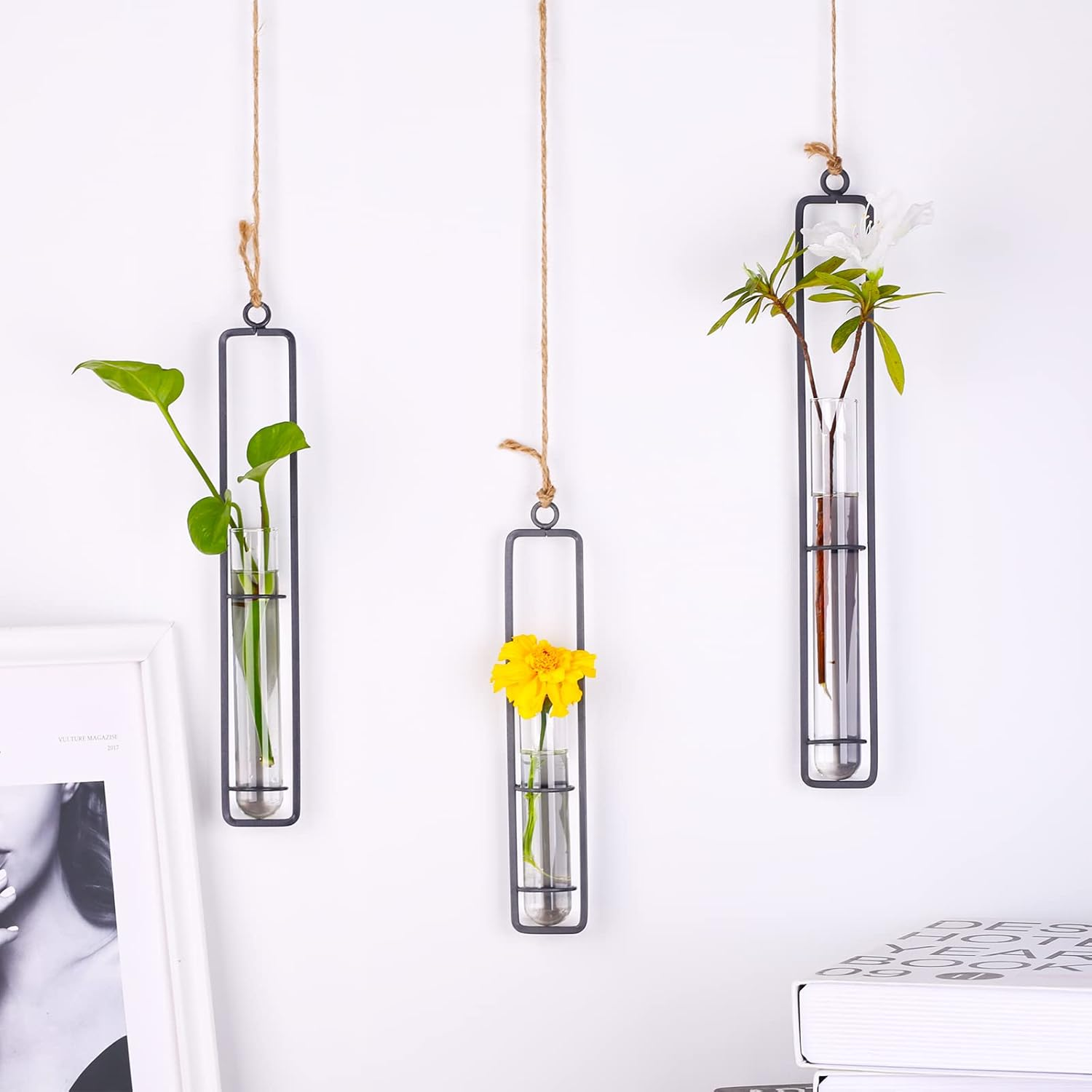 XMGZQ 6Pcs Plant Propagation Stations Wall Hanging,Clear Glass Propagation Tubes,Hanging Planters for Indoor Plants、Kitchen Window、Bathroom,Black Metal Test Tube Vases for Home Decoration (S,M,L)