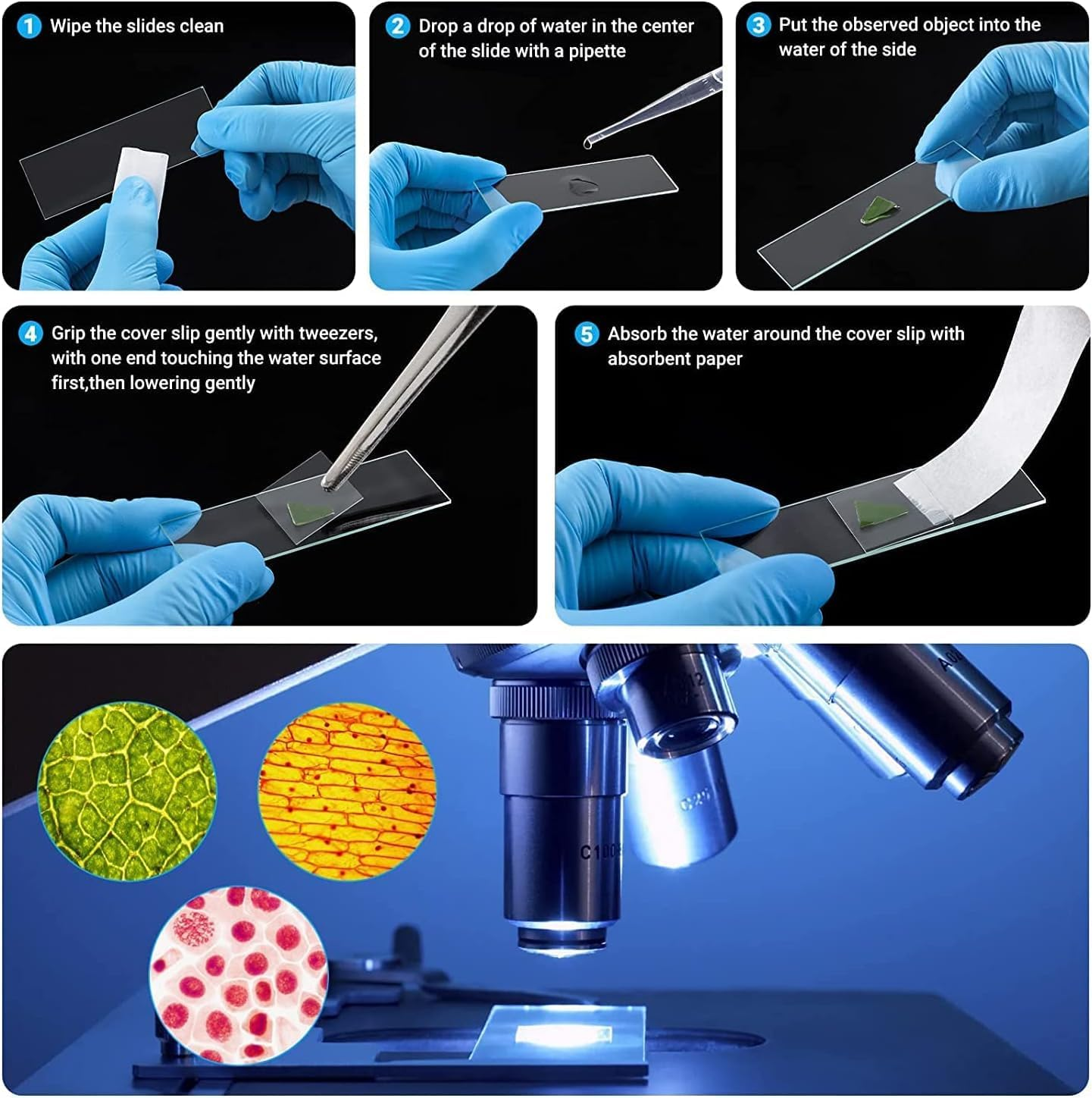 FOUR E'S SCIENTIFIC Microscope Slides and Cover Slips with Plastic Droppers | 100Pcs Pre-Cleaned Microscope Slides | 200Pcs Microscopes Square Cover Glasses image number 4