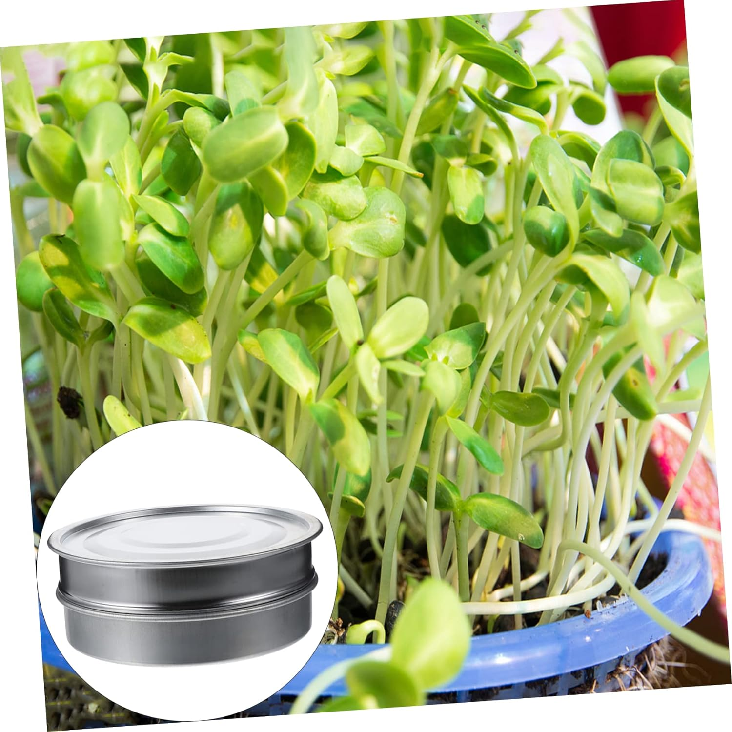 NULYLU Stainless Steel Mesh Basin Stackable Sprouting Tray Kit for Germination Gardening Accessory for Growing Microgreens and Plants image number 1