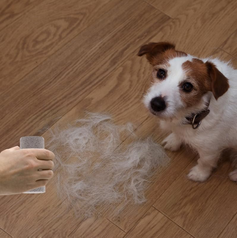 Plzoslly 2 Pack Pet Hair Remover for Cat Hair Removal, Pet Fur Remover Pumice Stone for Dog Hair Removal, Remove Dog Cat Hair Quickly from Carpet, Furniture, Car, Bedding and Clothing - 2 Pack image number 5