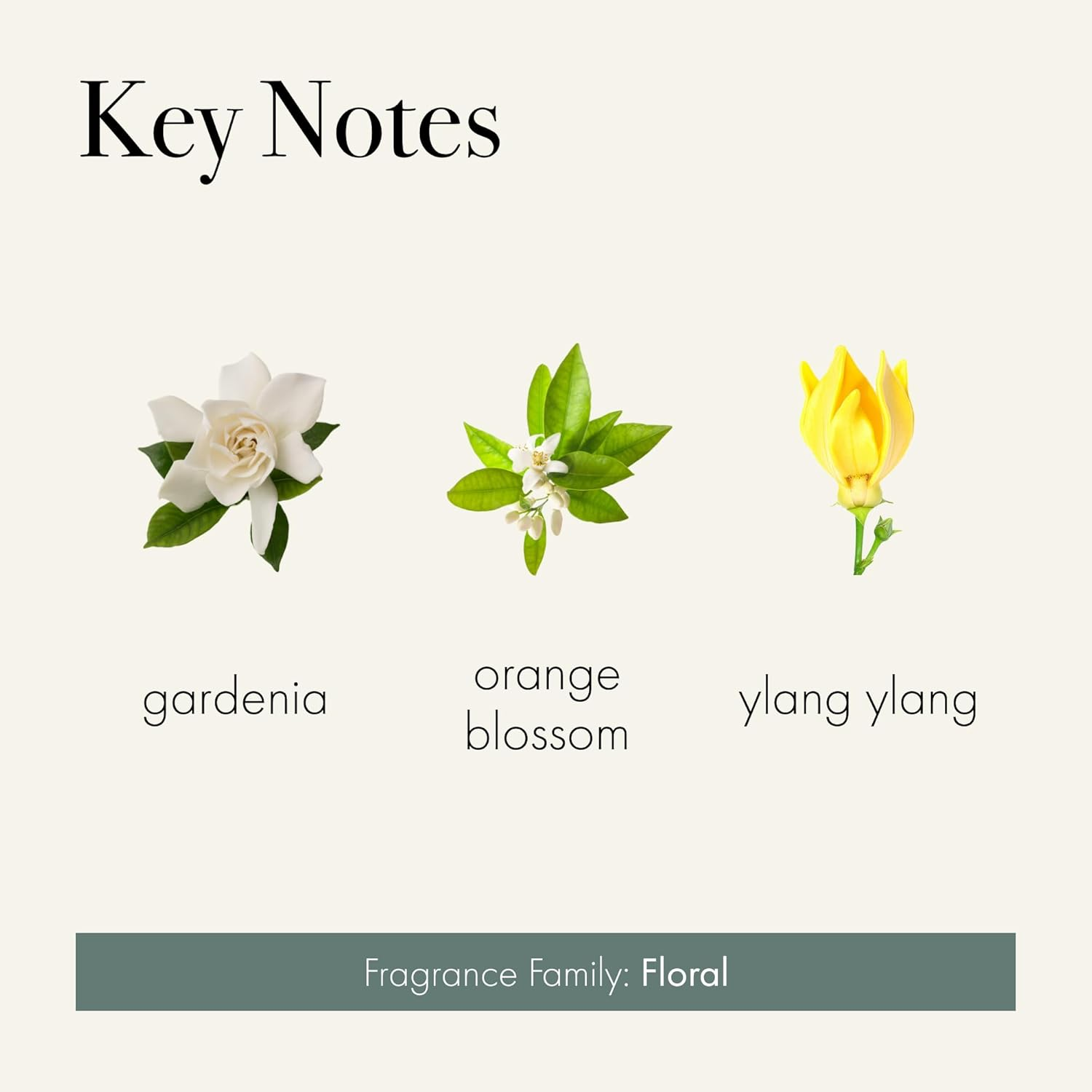 Lafco Fresh Cut Gardenia 3-Wick Candle, Green, 30 Ounce image number 5