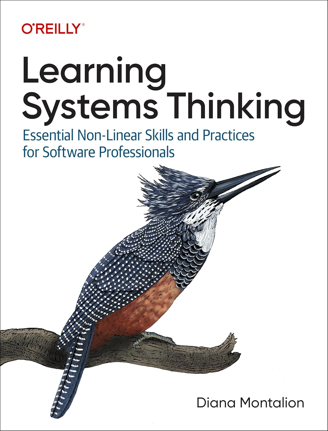 Learning Systems Thinking: Essential Nonlinear Skills and Practices for Software Professionals image number 1