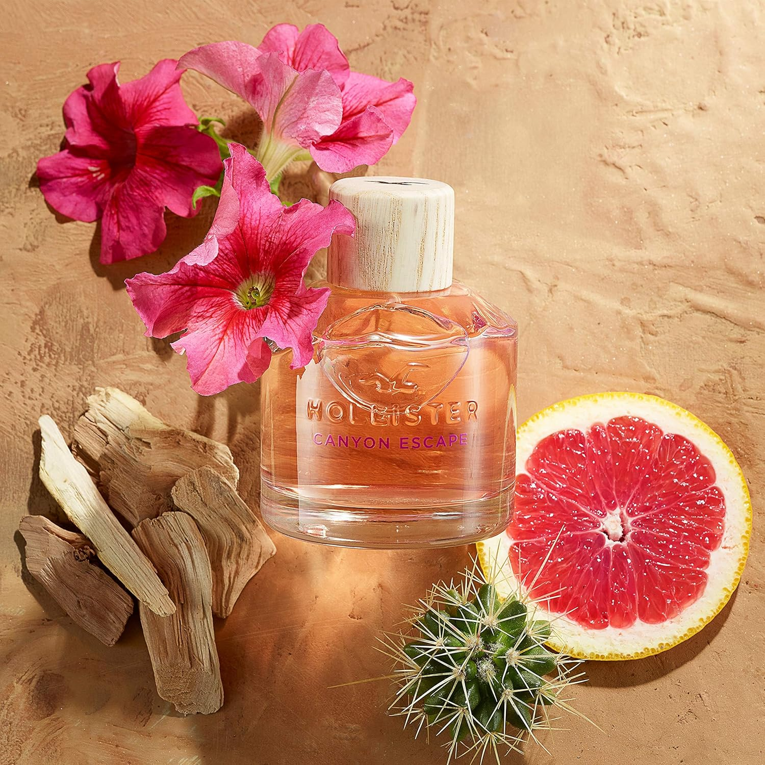 Hollister Canyon Escape Eau De Parfum Spray for Women 100 Ml