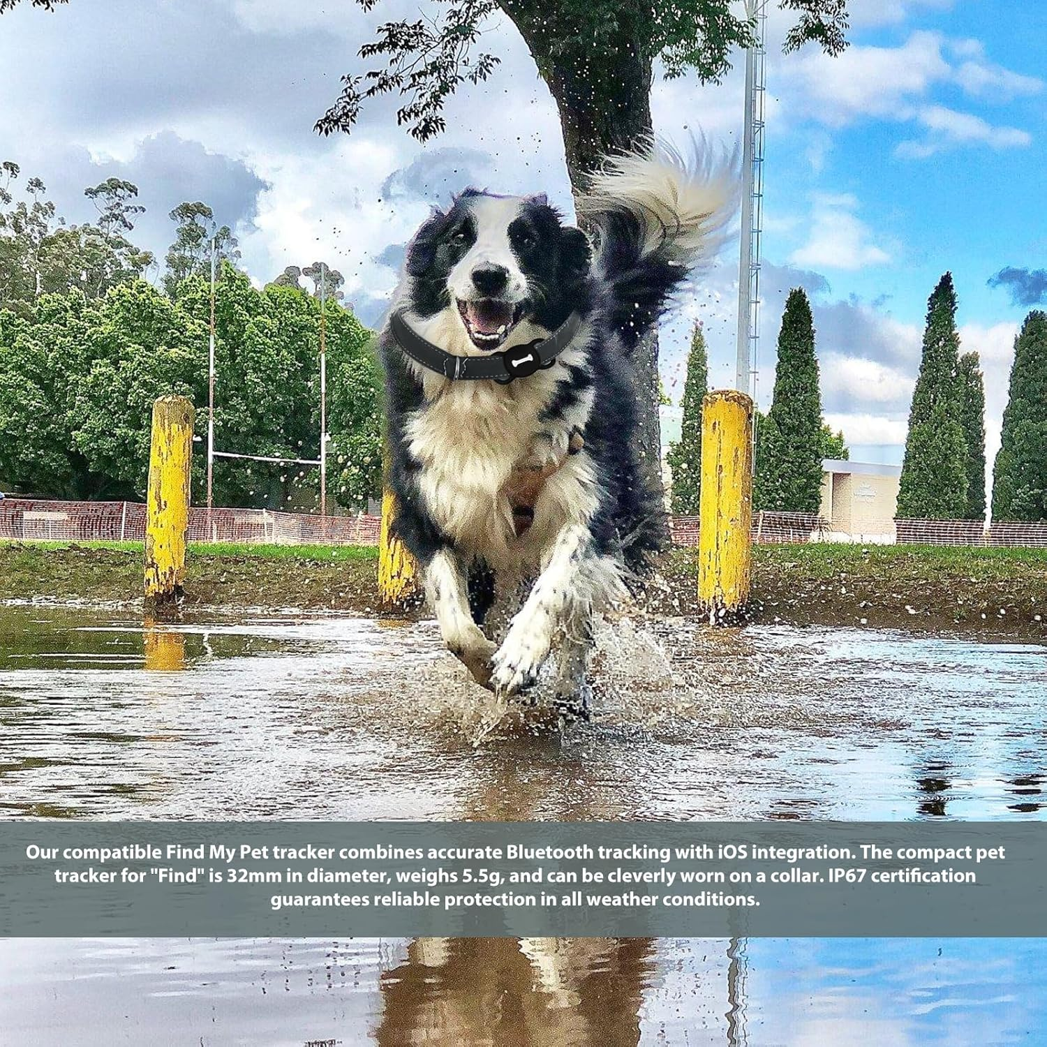 WIYETY Compatible Pet Tracker for Find My Monthly Fees, Waterproof Design with IP67 Protection for Dogs & Cats - Perfect Outdoor Safety Companion image number 3