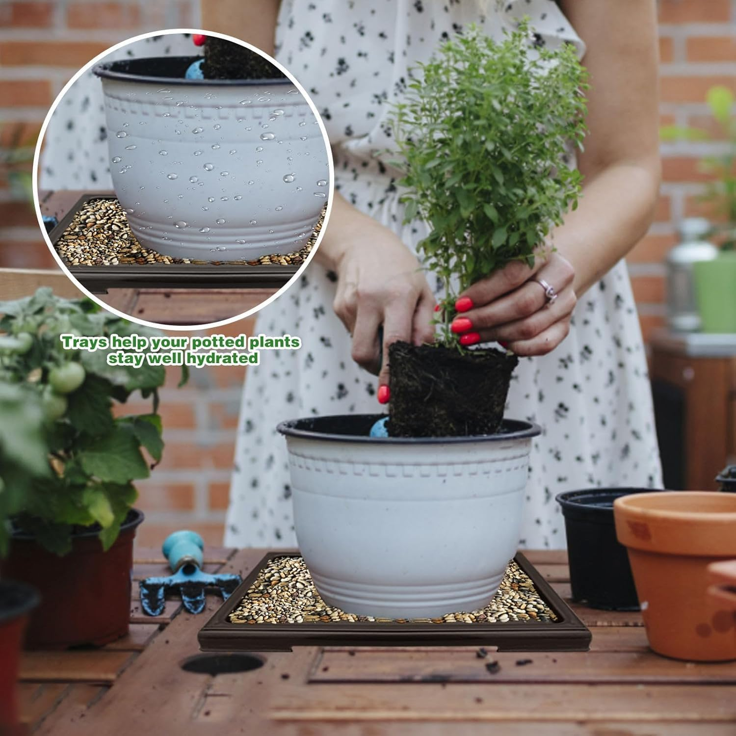 Square Plant Pot Saucer Drainage Tray, 2Pcs Bonsai Pots Humidity Plant Drip Trays, Square Plant Drainage Saucer Flower Pot Drip Trays, Square Saucers Plastic Plant Pot Water Tray image number 6