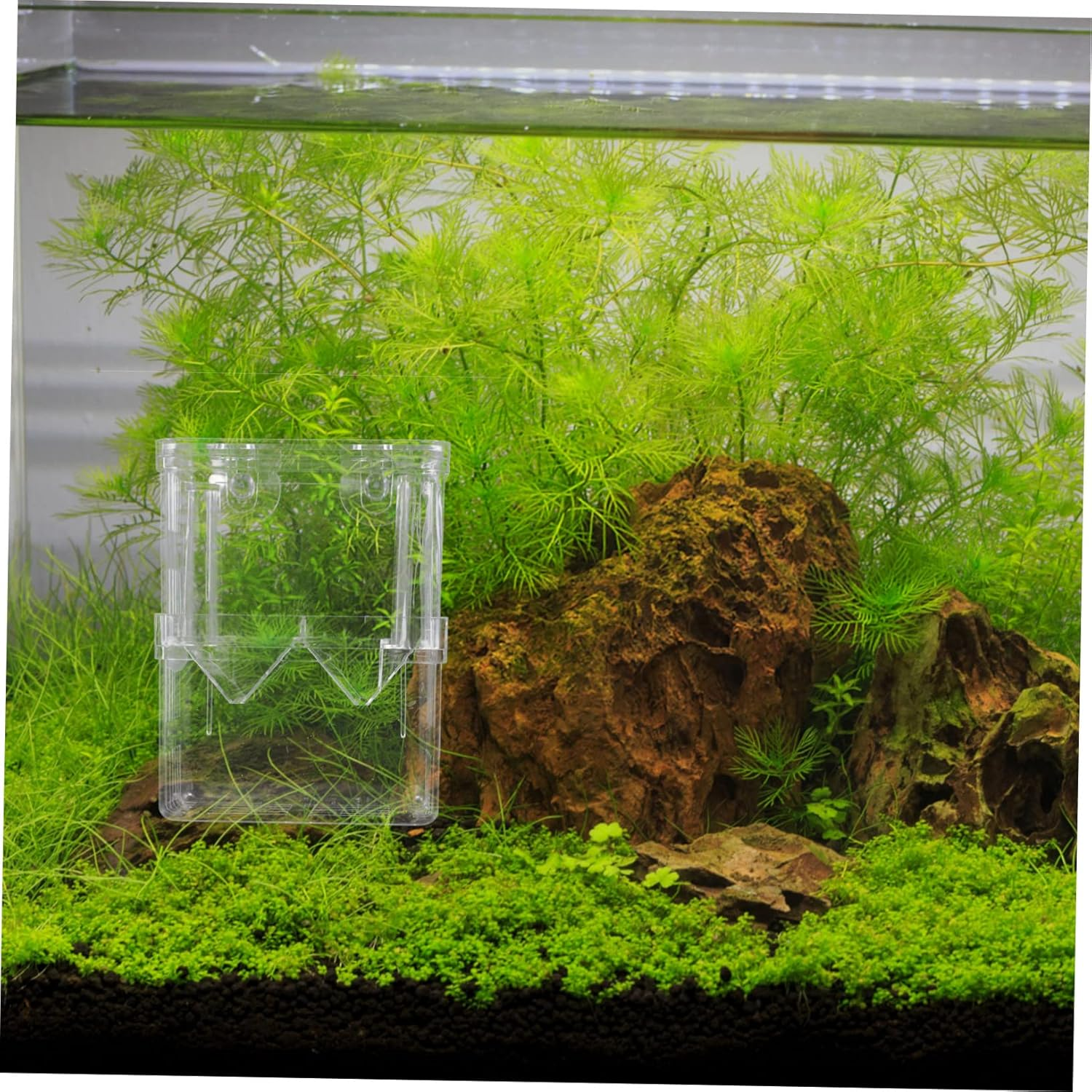 SUPVOX 2Pcs Large Fish Tank Breeding Box Double-Layer Aquarium Isolation Container Hatching Incubator with Suction Cup Suitable for Guppies and Small Fish Aquatic Pets Random Color