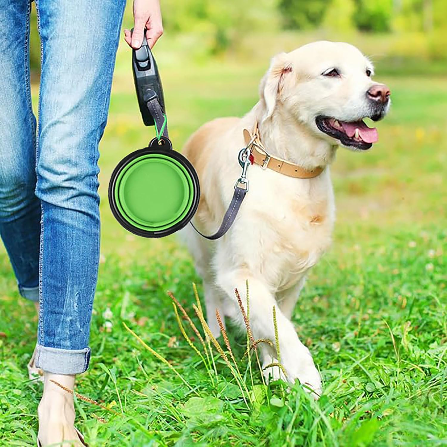 Yqkangzhu 2 Pcs Collapsible Pet Bowl, Silicone Dog Travel Bowls, BPA Free Portable Pet Feeding and Water Bowl, Foldable Cat Food Dishes with Carabiner Clip for Hiking, Walking, Outdoor Activities image number 3