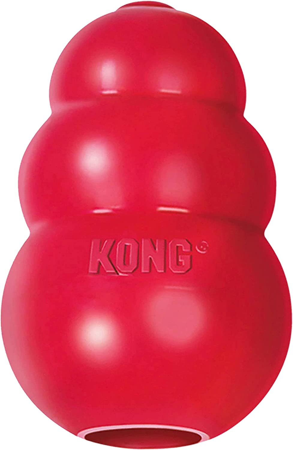 KONG - Classic Dog Toy - Durable Natural Rubber - Fun to Chew, Chase and Fetch - for Medium Dogs image number 5