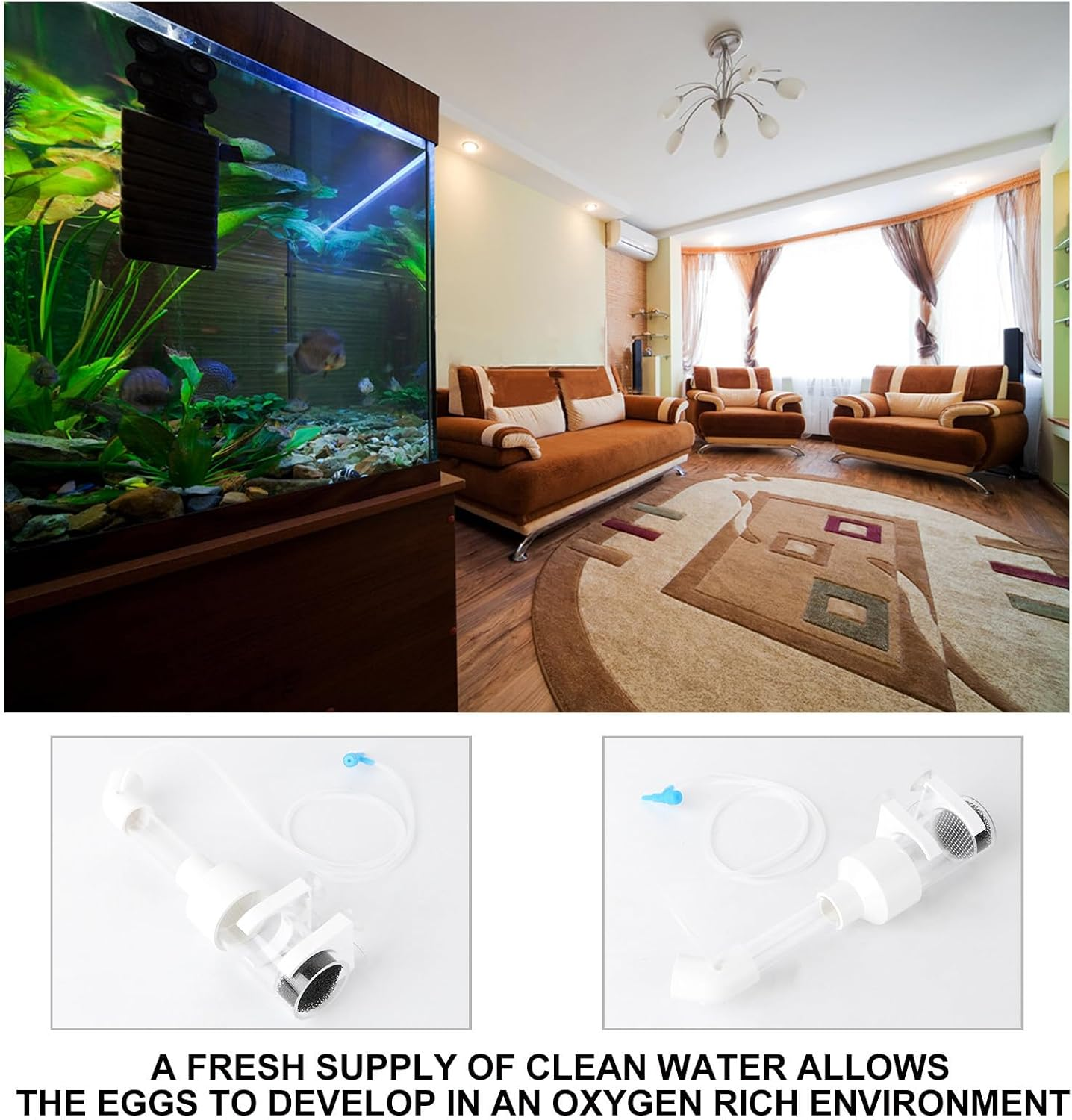 JEWEDECO 2Pcs 50Mm Fish Incubator Tumbler for Aquarium Cichlids Mouth-Brooding Eggs Hatchery Fish Breeding Tank Accessory with Random Color for Aquatic Pets Random Color image number 2