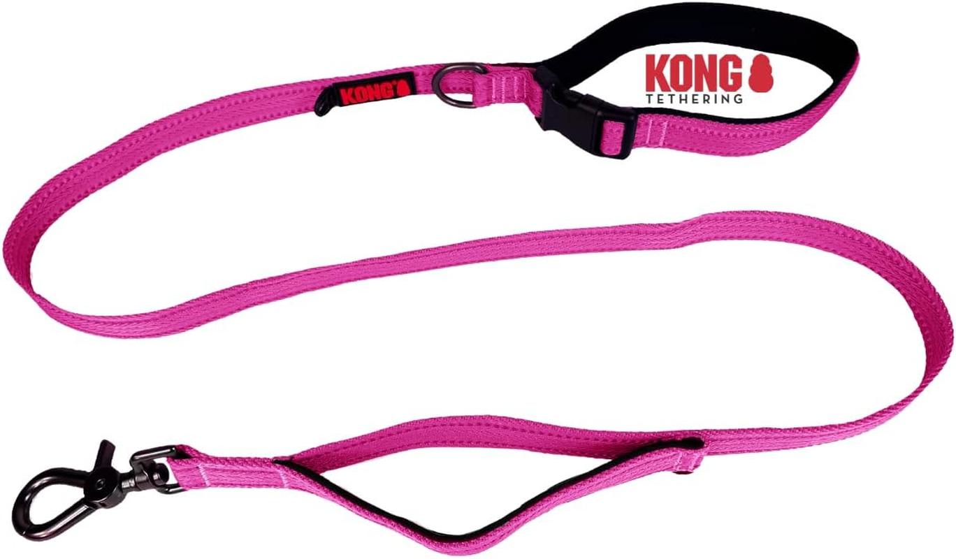 KONG Dog Lead in 1.5 M Length, for Medium Dogs up to 30 Kg, Size M, Traffic Safe Dog in Pink, Reflective Lead with 2 Padded Hand Loops and Robust Snap Hook