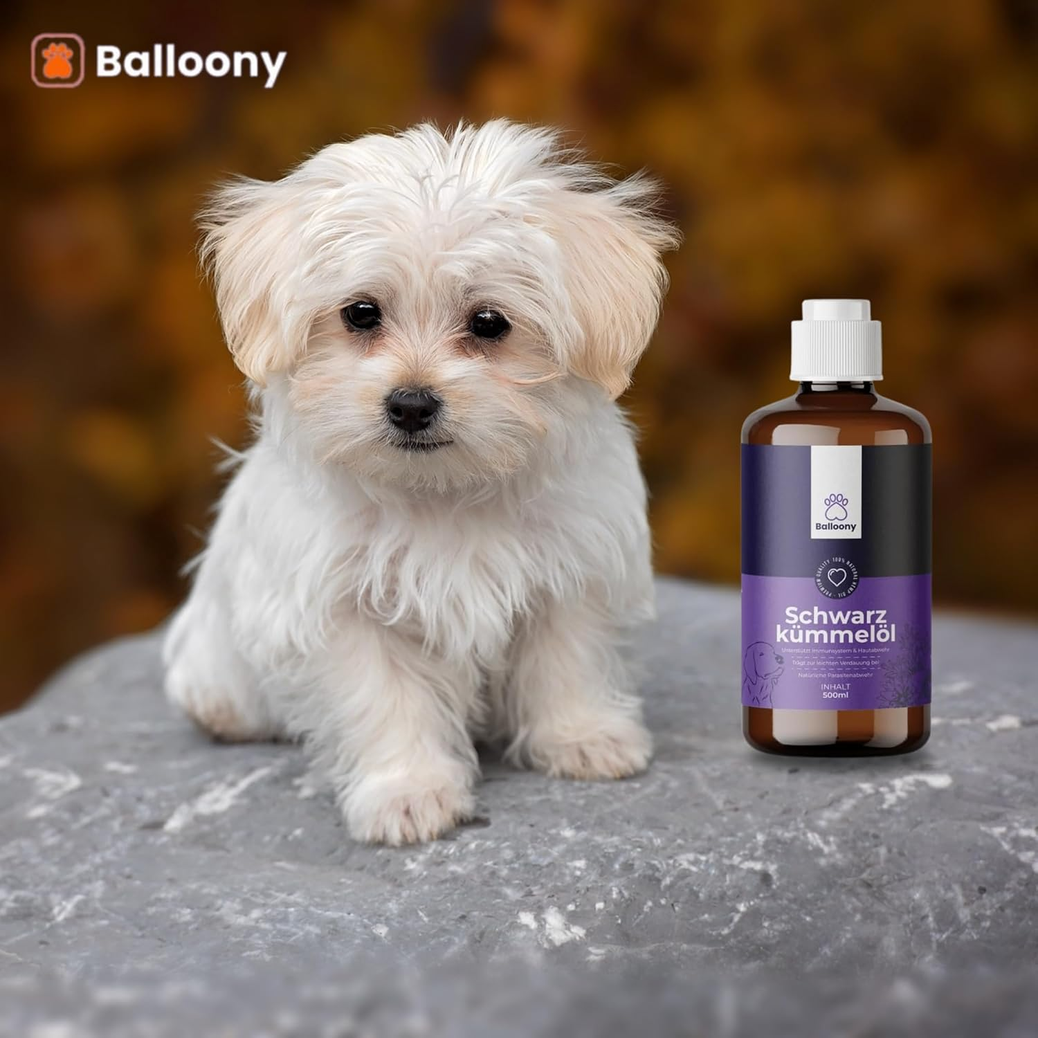 Black Cumin Oil for Dogs - Natural Support for a Vital Dog Life image number 1