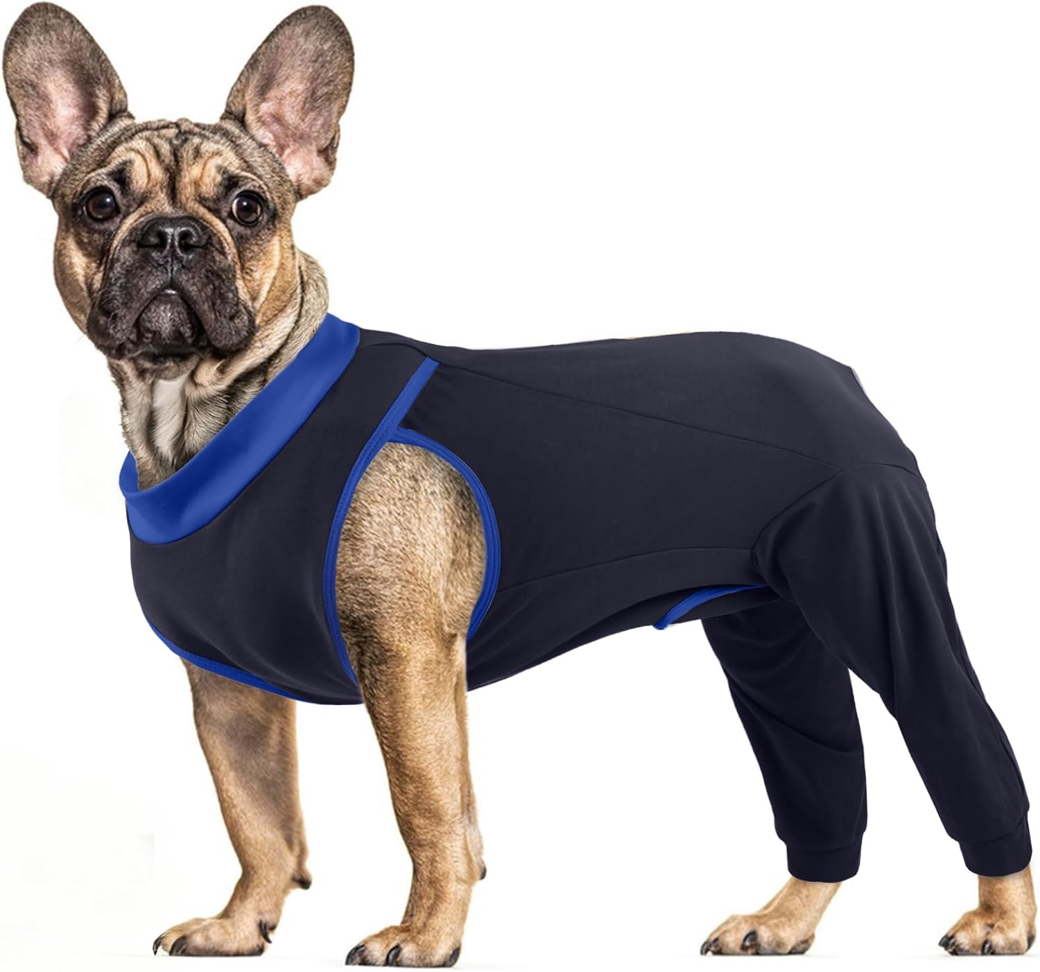 PUMYPOREITY Dog Bodysuit after Op, Dog Bodysuit after Castration Male Elbow Bandage Rear Legs Op Suit Medical Pet Shirt Knee Support Rear Leg (Grey, S)