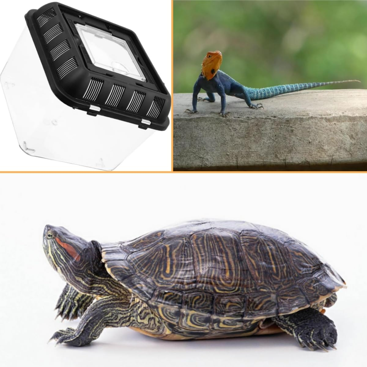 Small Pet Breeding Box,Reptile Habitat Tank Turtle Aquarium Home Turtle Habitat Breeding Box for Reptiles Pet,Storage Box with Handle image number 3