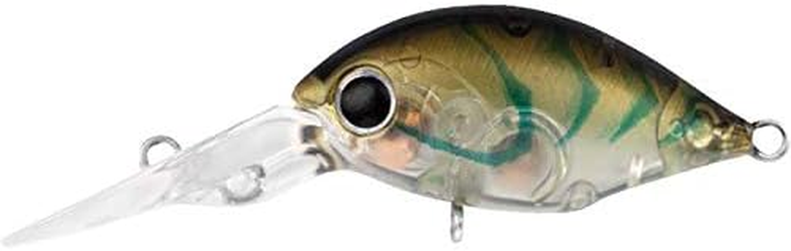 Daiwa 2020 Infeet Rolling Crank DR 32Mm Floating Crankbait Fishing Lure #Blue Suji Prawn