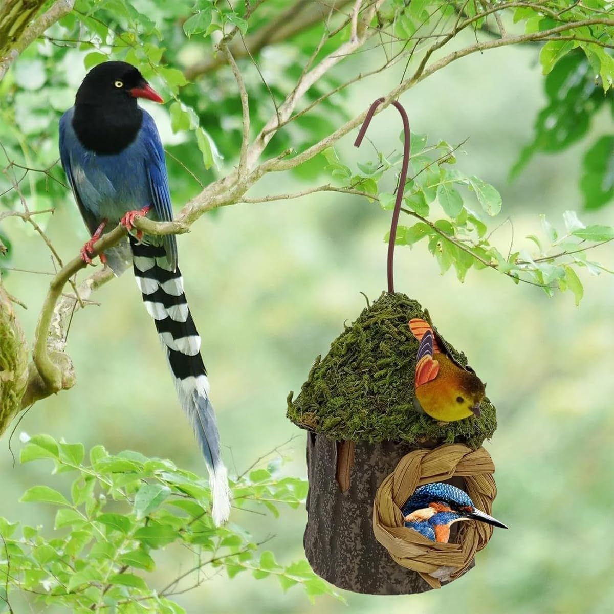 AIMALL Outdoor Hanging Wooden Birdhouse &ndash; Small Nesting Box for Hummingbirds & Finches, Moss Roof Garden Decor with Hook for Balcony, Tree, Courtyard 6.3X2.76X3.35In image number 5