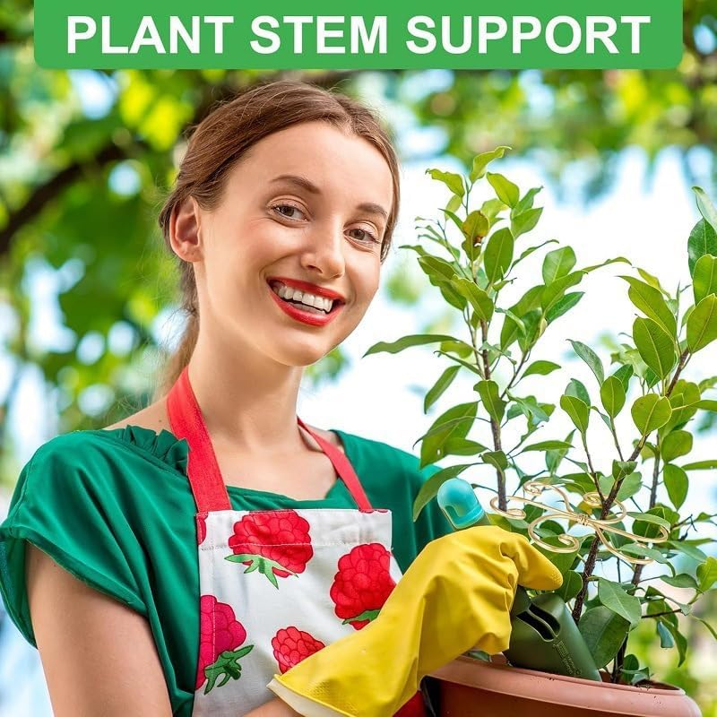 Iron Plant Stem Support, 4 Pcs Plant Support for Monstera &Climbing Plants,Plant Support Stakes for Indoor Plants,Stable Plant Stakes and Supports,Turtle Shell Bamboo Clamp Set for Thriving Growth image number 3