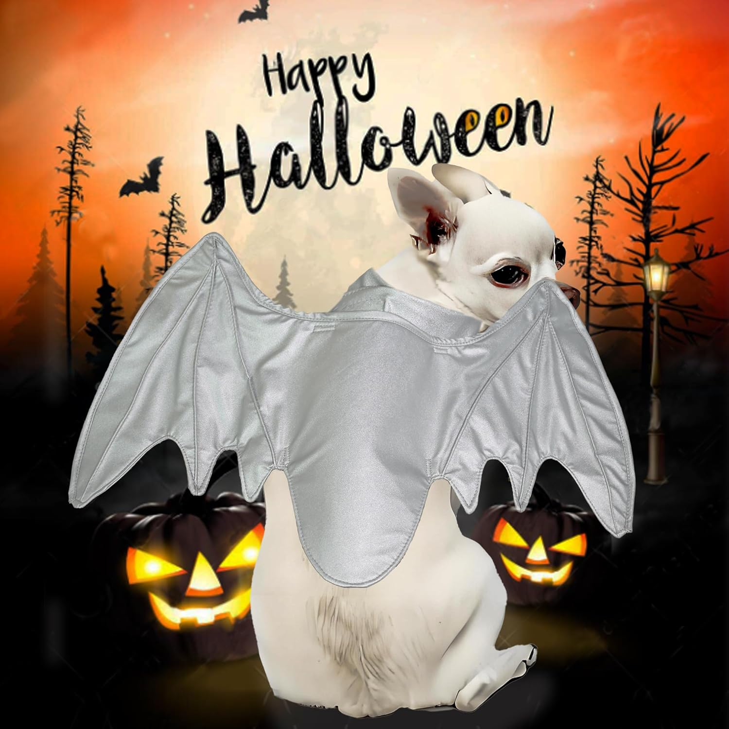 Funny Bat Dragon Wing Costumes for Dog, Cute Furry Pet Clothing for Halloween (Silver Wing, Size M) image number 6