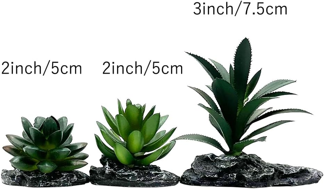 Reptile Artificial Plants Succulent Terrarium Decor Desert Rain Forests Plant Lizard Bearded Dragon Chameleon Gecko Snake Amphibian Habitat Hideout Turtle Tank Accessories (Dark-Green-3Pcs-Set) image number 6