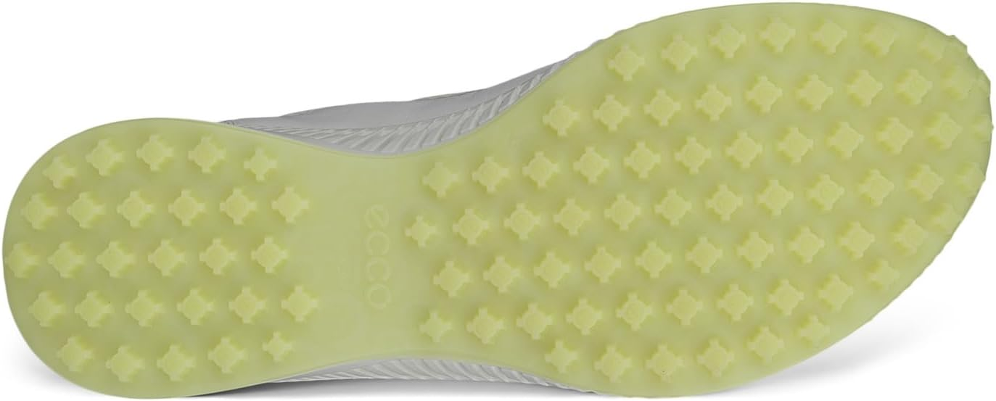 ECCO ECCO image number 3