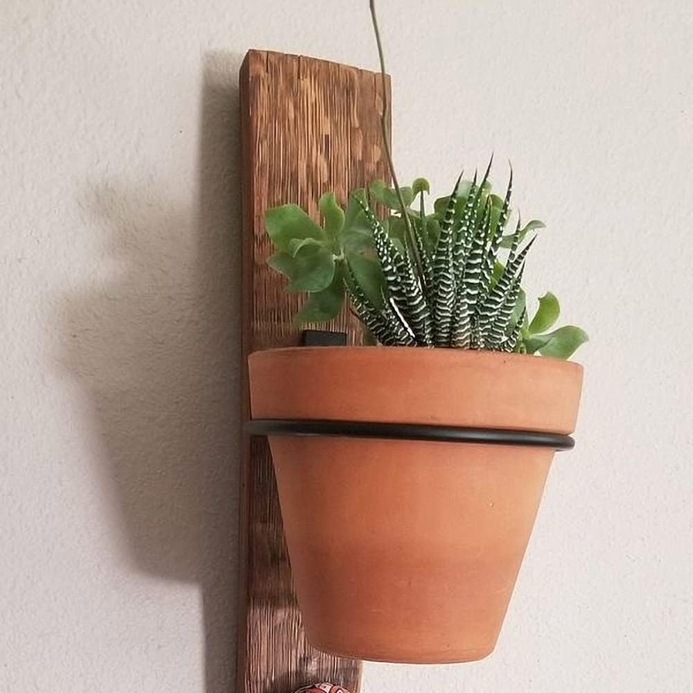 Sivya 6 Pack 4In Flower Pot Holder Ring Wall Mounted Metal Planter Hooks Hangers Wall Bracket image number 1