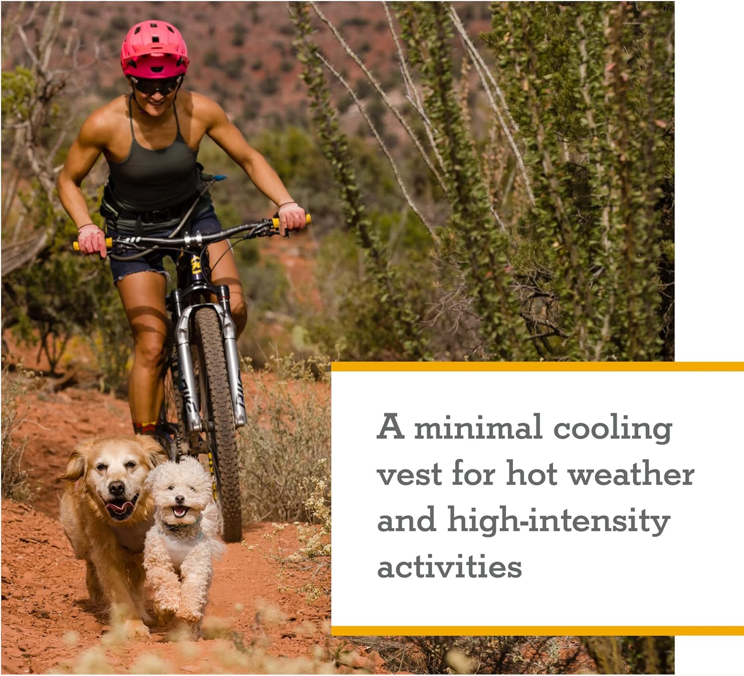 Ruffwear Swamp Cooler(Tm) Zip Vest |05451-421| Cooling Coat for Dogs, Colour: Aurora Teal, Size: XXS image number 3