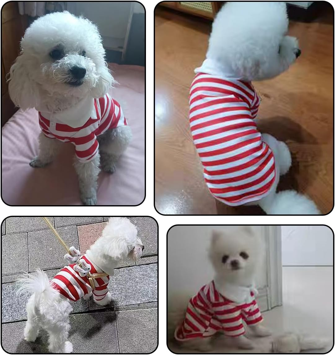 MANON ROSA Dog Clothes Cute Polo Shirt - Soft & Breathable Collared T-Shirt Summer Fall Outfits for Small Medium Dogs Cat - Great for Doggy and Kitten Photoshoots (Small,Red) image number 1