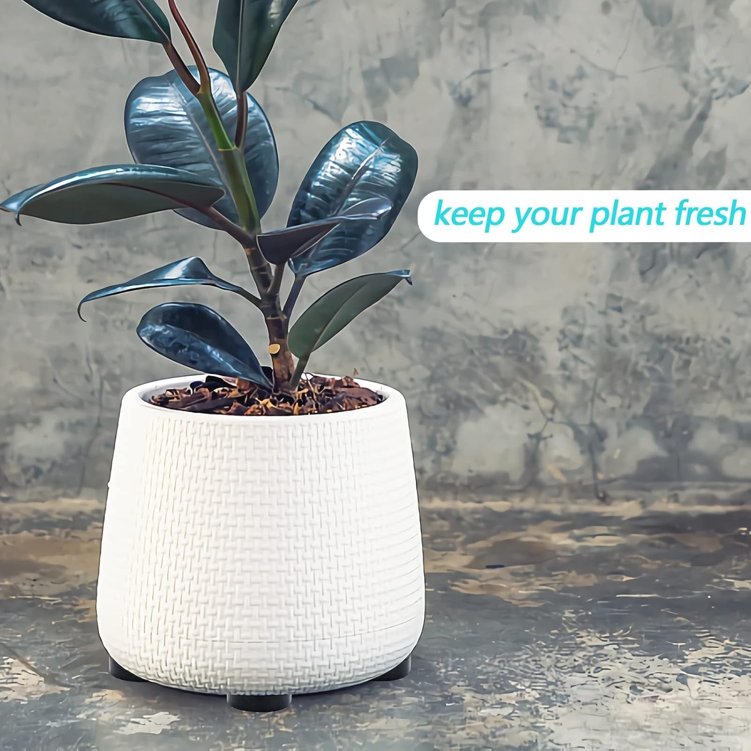 Xinghonyac 24 Pcs Invisible Pot Feet with Enhanced Non-Slip Surface Grip Plant Pots and Flowers, Solid Rubber Flower Pot Riser for Indoor Outdoor, Patios, Decks, Gardens and Floor image number 4